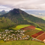 View from the height of the sown fields located on the island of Mauritius